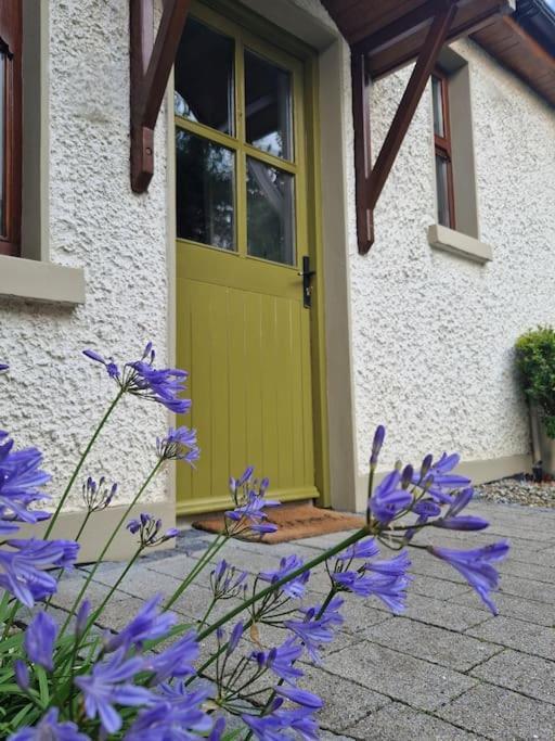 Elegant Traditional Family House Tralee Ring Of Kerry Villa Exterior photo